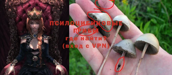 гидропоника Киренск