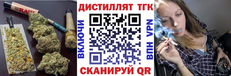Купить закладки  Княгинино  ТГК концентрат 