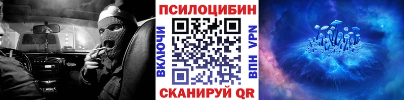 Купить Княгинино Галлюциногенные грибы мицелий