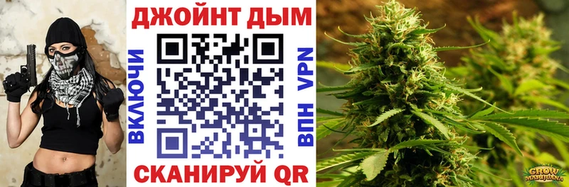 Купить закладки  Княгинино  Каннабис гибрид 